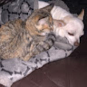 Meet your Posher, Haley